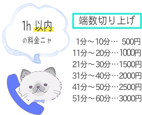 悩み相談、愚痴聞き、傾聴、話し相手、カウンセリング、コーチング、占いサービスの晴れ子の電話の1時間以内の料金計算表